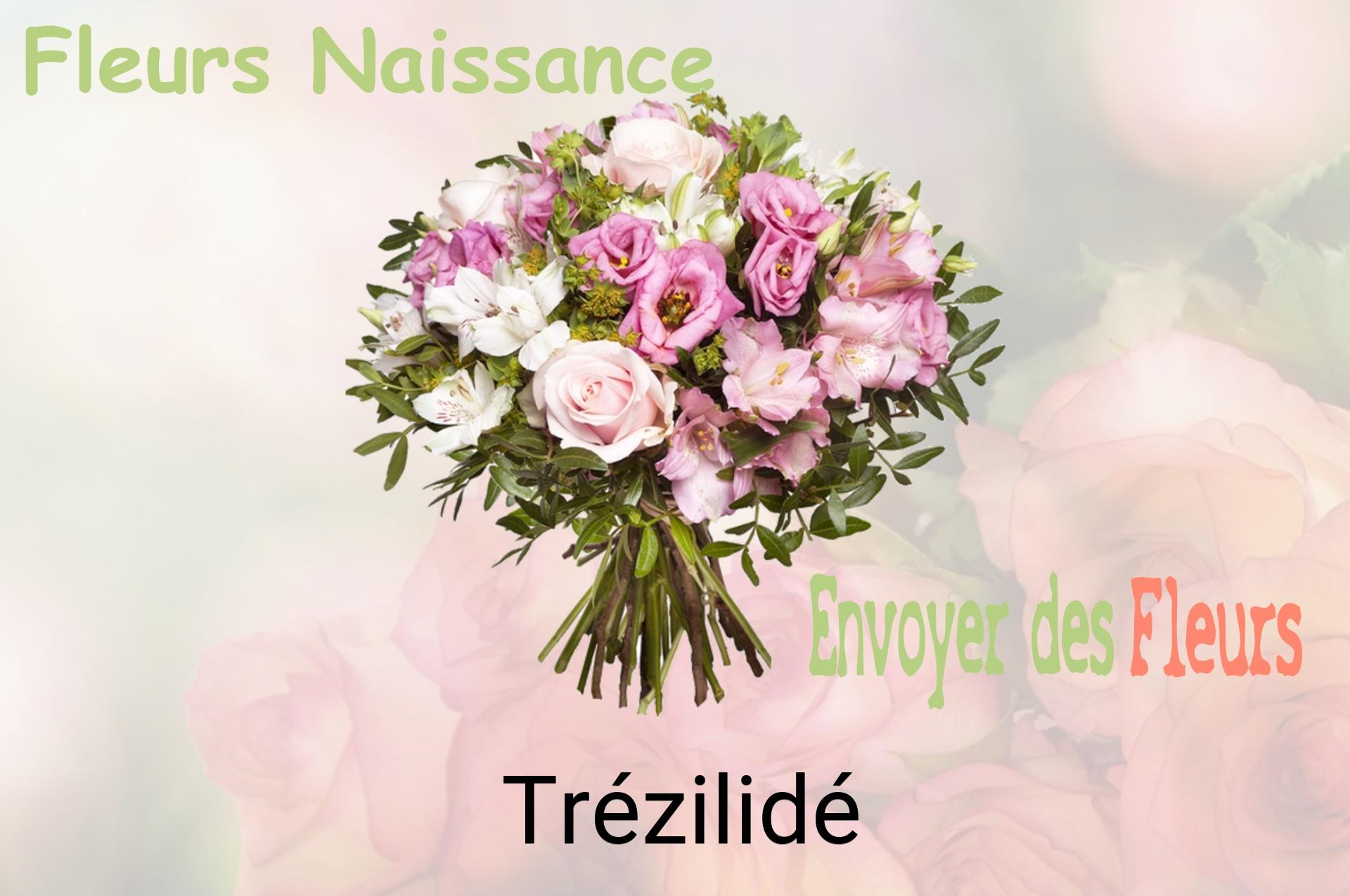 Bouquet de fleurs de naissance livré à Trézilidé