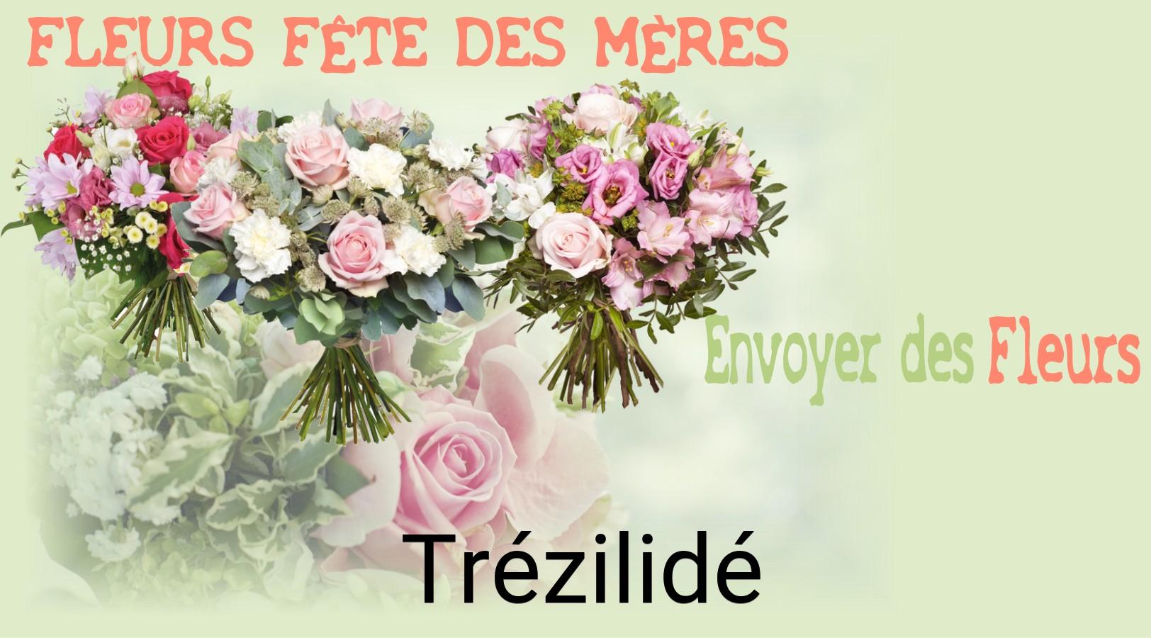 Bouquet de Fête des Mères livré à Trézilidé